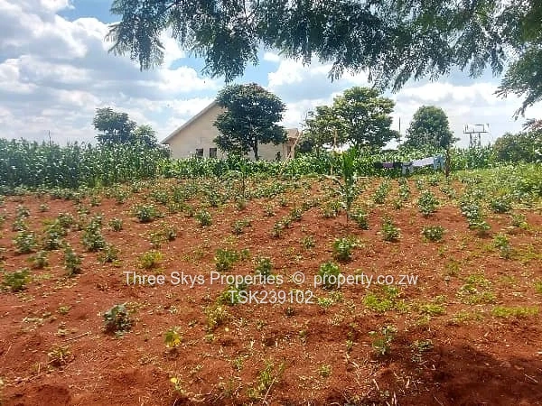 2200Sqm Stand For Sale 