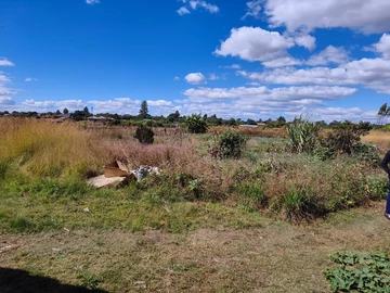 Stands & Residential Land