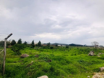 Commercial & Industrial Land