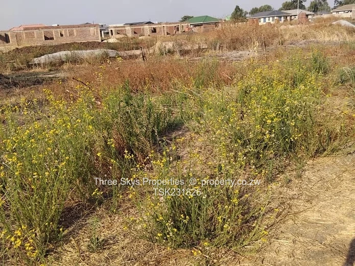 Warren Park D -Stand For Sale 