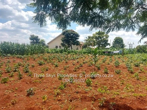 2200Sqm Stand For Sale 