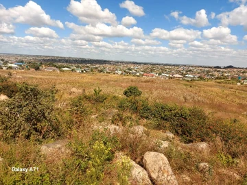 Commercial & Industrial Land