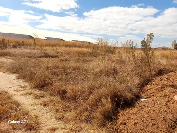 Commercial & Industrial Land