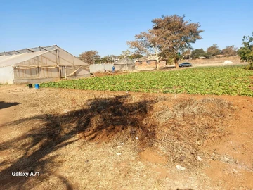 Stands & Residential Land