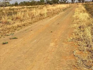 Commercial & Industrial Land