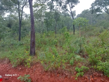New Development-Chipinge 