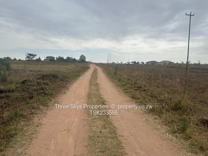 Manyame Rural -Barron Brooke