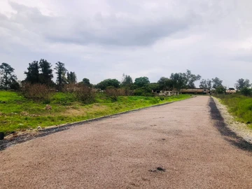 Commercial & Industrial Land