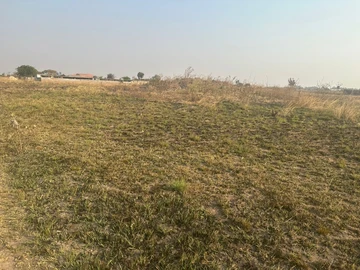 Farm & Agricultural Land