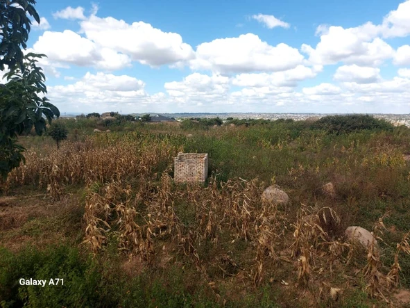 Commercial & Industrial Land