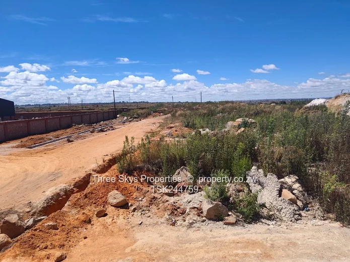 Msasa Industrial Stand 