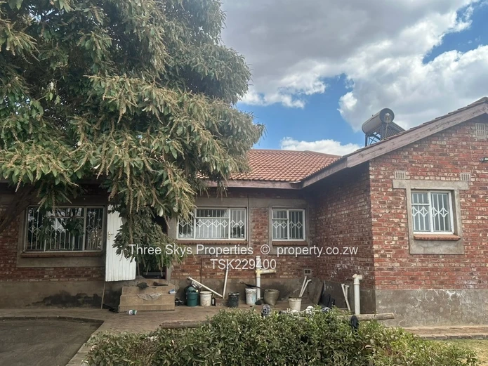 Very Neat And Modern House