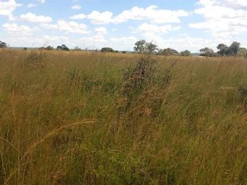 Farm & Agricultural Land