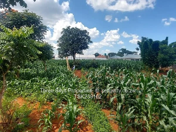 2200Sqm Stand For Sale 