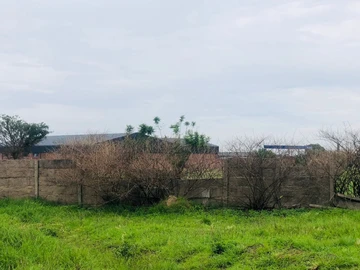 Commercial & Industrial Land