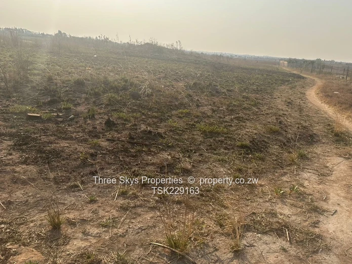 1,18 Hectares For Sale 