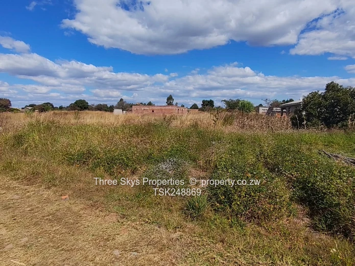 Vacant Stands 2000Sqm And 3113Sqm