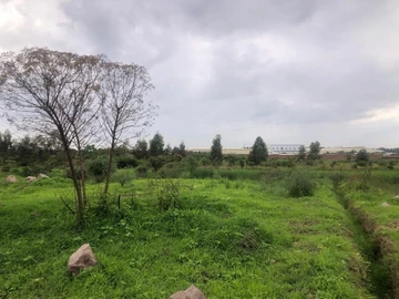 Commercial & Industrial Land