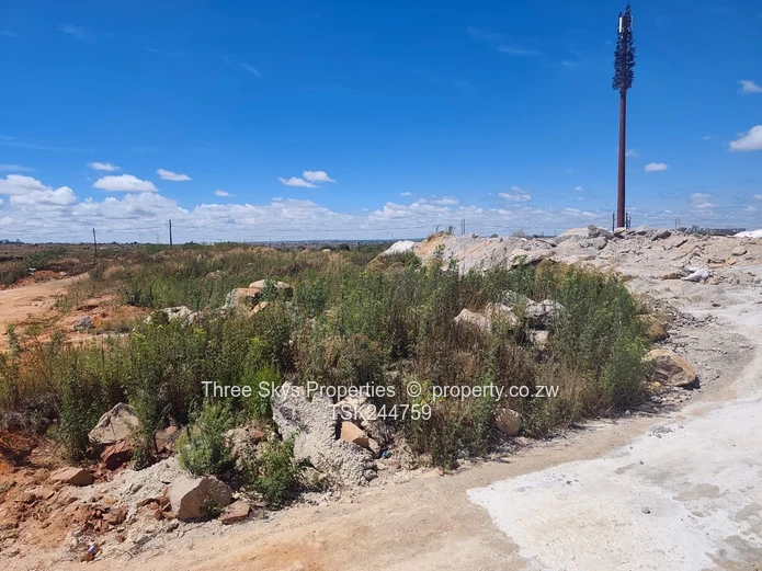 Msasa Industrial Stand 