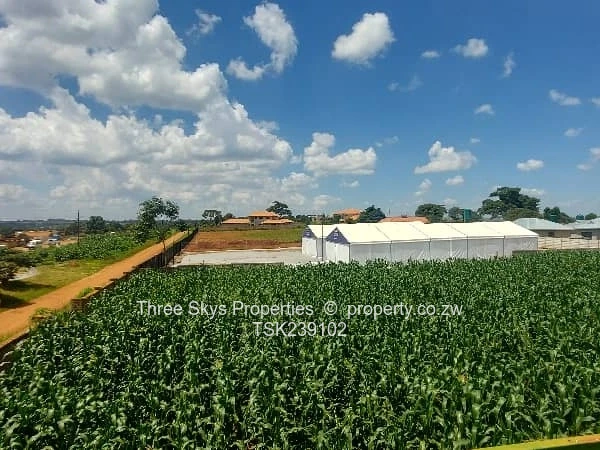 2200Sqm Stand For Sale 